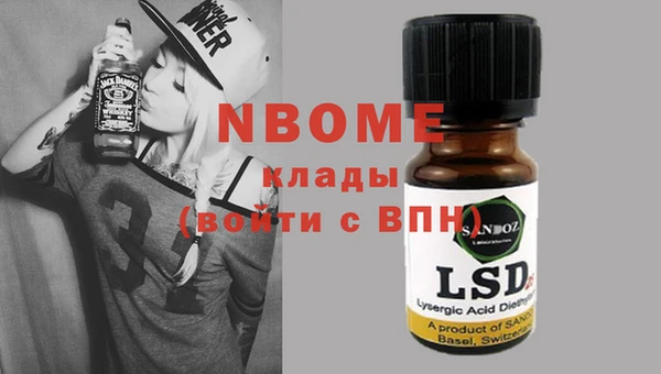 хмурый Алексин