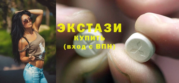 хмурый Алексин