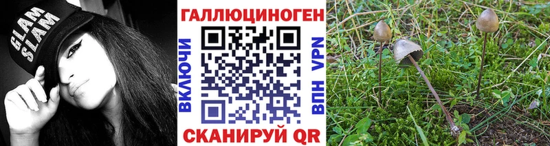 Галлюциногенные грибы Psilocybine cubensis  omg ссылка  Подольск 